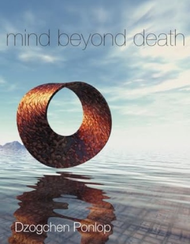 Online Book Study Group: "Mind Beyond Death"